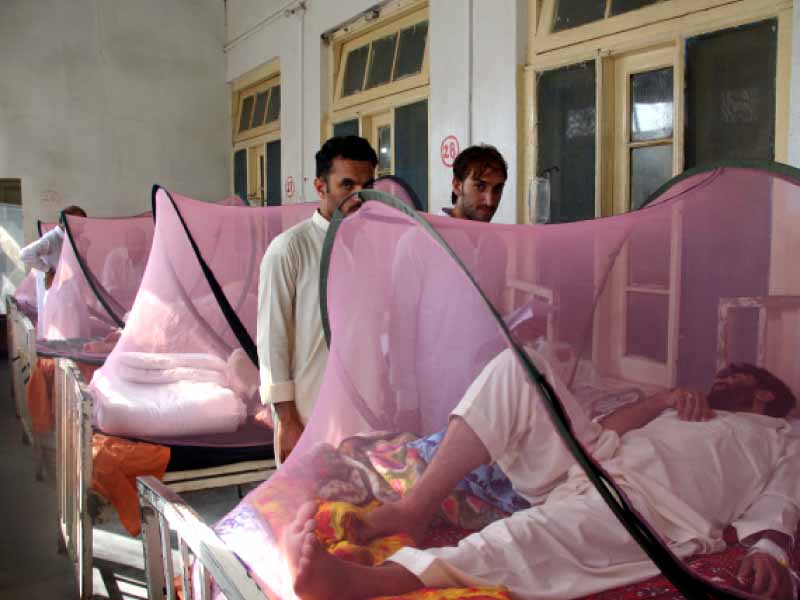 Dengue might rise in Afghanistan